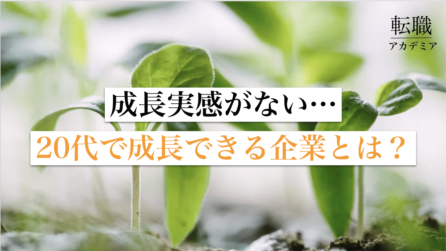 成長実感がない 20代で成長できる企業とは 転職アカデミア